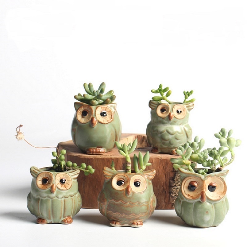 Pot de fleurs en forme de hibou, 5 pièces, en céramique, bureau, plantes, , Succulent, décoration de jardin pour la maison, extérieur