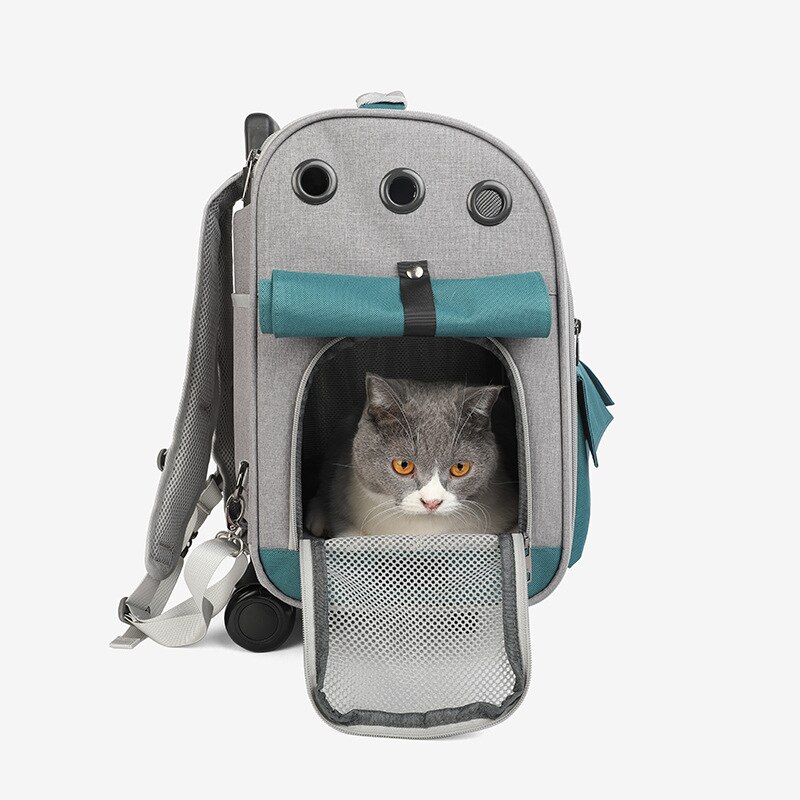 Mochila con carrito para perro y mascota, mochila plegable portátil para animales al aire libre, bolsa de transporte y maleta con ruedas para mascotas, estuche de viaje al aire libre