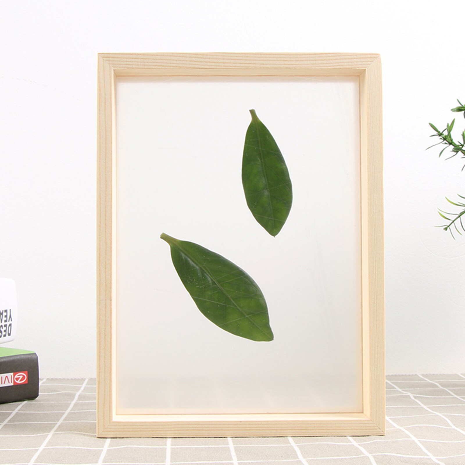 Plant Specimen Photo Frame Support Family Picture Holder Decor Artwork: 21x29.7cm