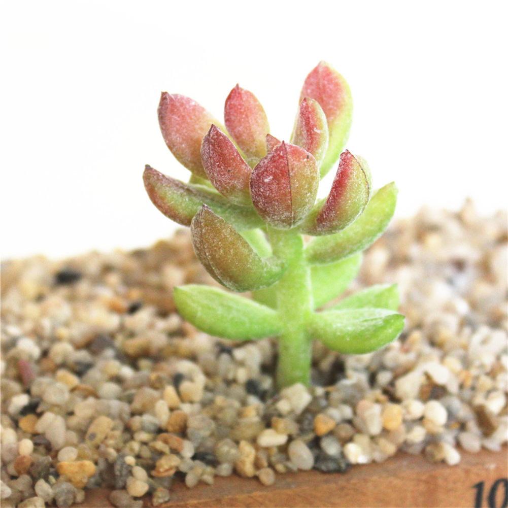 1pc miniatyr sukkulenter simulering mini diy plast kontor dekor hage hjem delikat bonsai blomster kunst tilbehør ornament