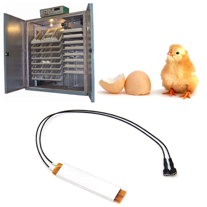 Calentador de la incubadora, 1 Uds., placa de elemento de calentamiento para huevos, accesorios para incubadora 110V 220V