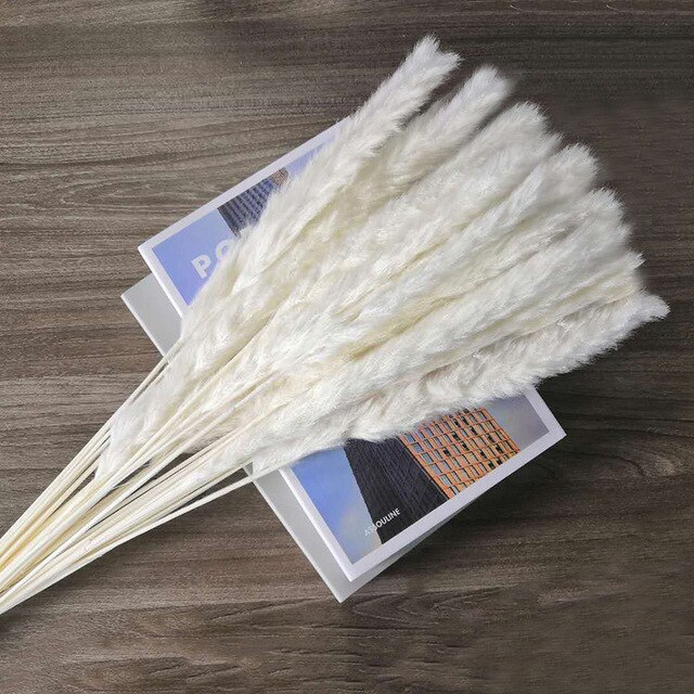 10 st pampas gräs dekor phragmites & vass blommor hem juldekoration torkad blombukett naturliga växter: Beige-vit / 10 st