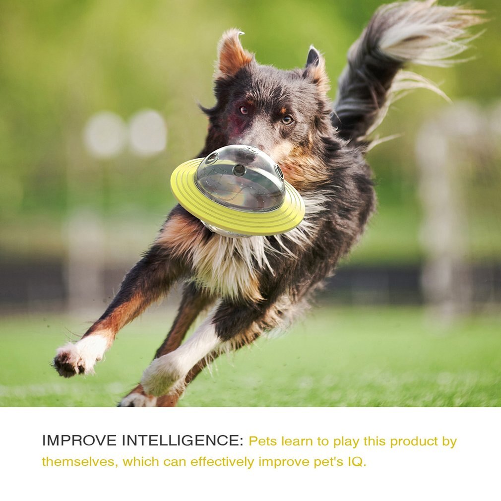 Opwindbaar Pluchen Muizenspeelgoed – Voor Katten En Kleine Honden – Draait Rond Op Een Vlakke Ondergrond – Leuk En Interactief – Willekeurige Kleur