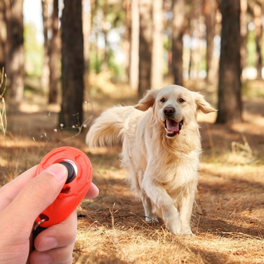 Transer Hond Tranining Supply Hond Huisdier Clicker Training Aid Polsband Smart Dog Training Huisdier Tool Met Polsband
