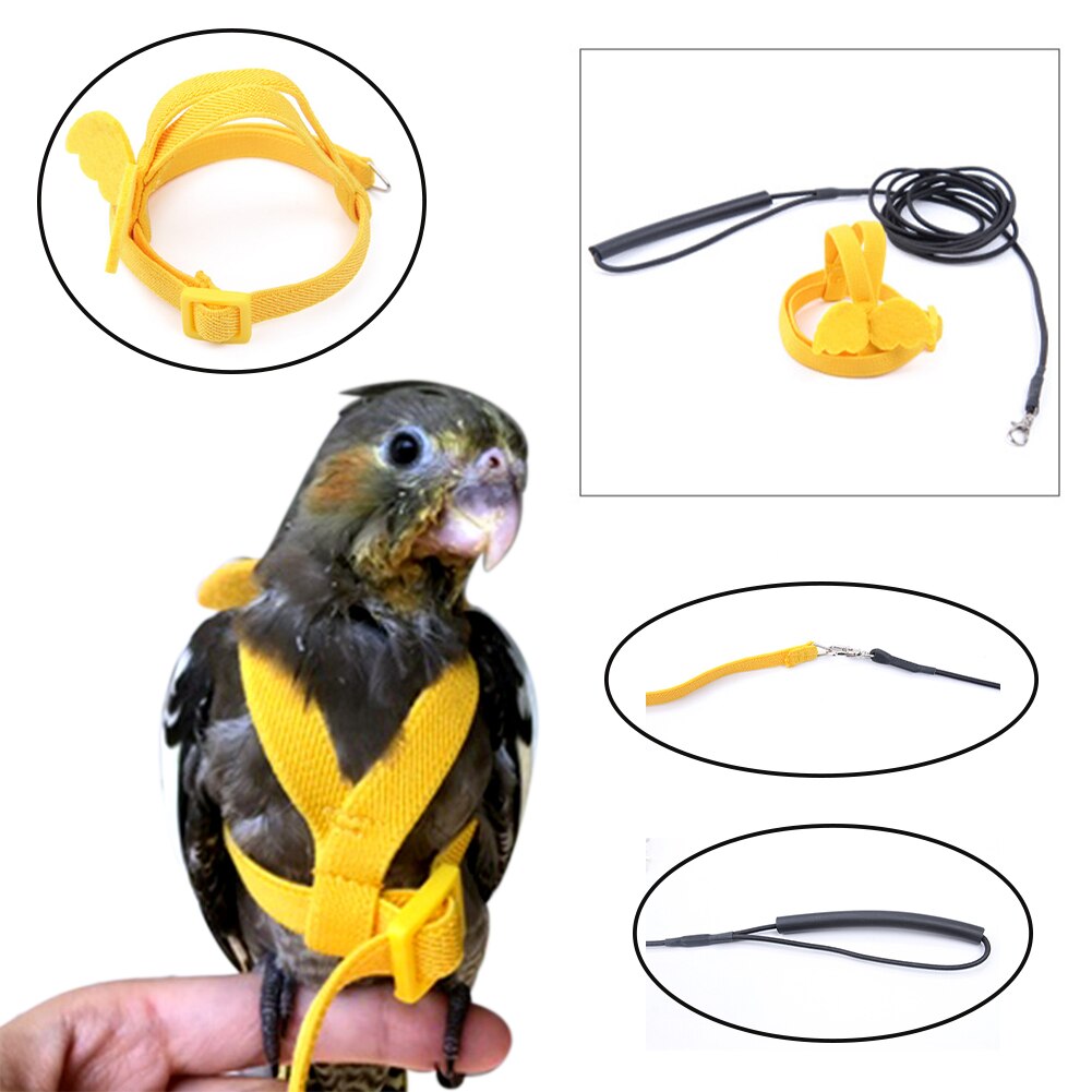 Calopsitte oiseau harnais longueur réglable Ultra léger corde d'entraînement Anti perdre perroquet laisse avec boucle pour aras vol extérieur