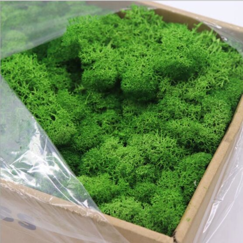Fausse mousse artificielle multicolore, 20g, fausse plante, accessoire décoratif pour la maison, le salon et le jardin