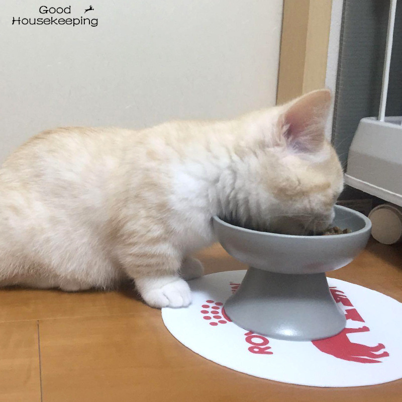 Cuenco de cerámica para mascotas, cuenco de estilo japonés para gato y perro, fuente de alimentación para mascotas, suministro para perros