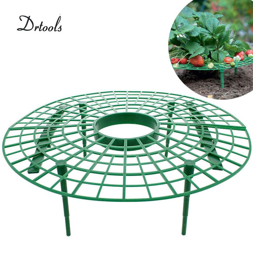 Drtools 5/10/20 st jordgubbsställ ramhållare trädgårdsskötsel stativ växtbricka ställ fruktstöd planta blomma klättring vinpelare