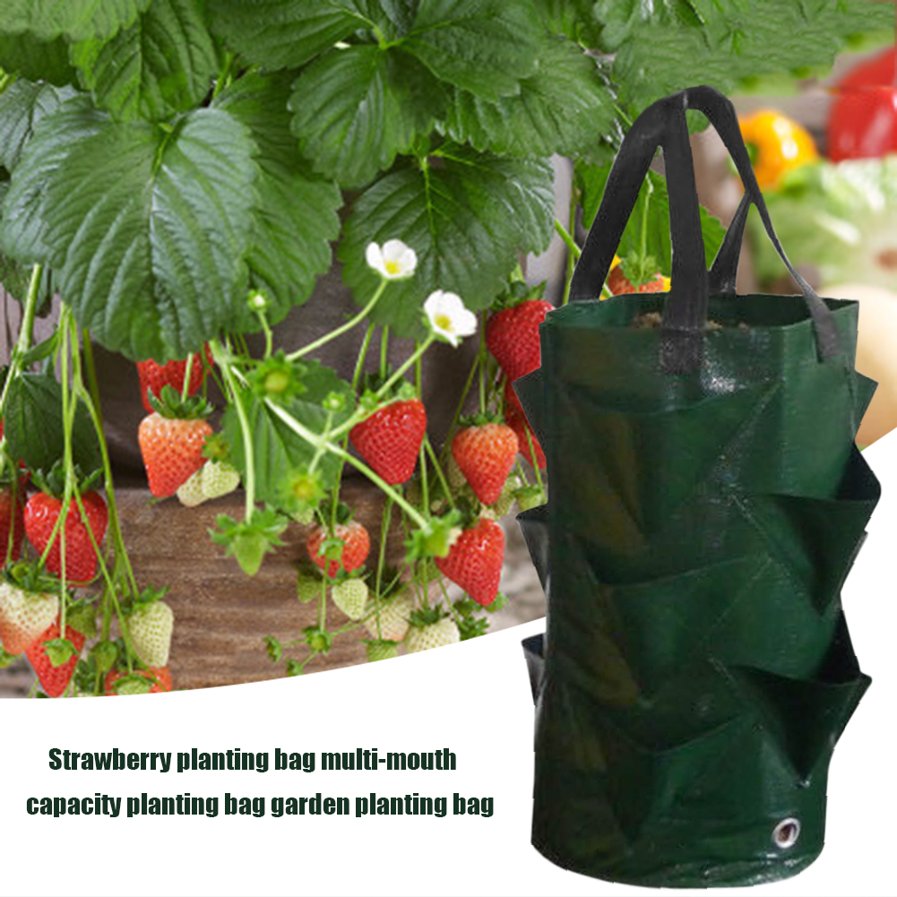 Garden Planting Bags 3 Gallons Strawberry Tomato Reusable Multi-mouth Flower Herb Planter Vegetable Pot Grow Bag