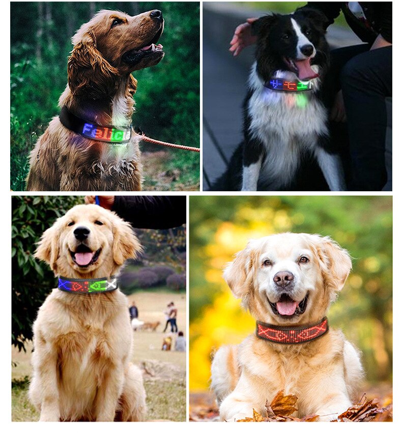 Bluetooth programmable LED Pet Collar USB Rechargeable Night Safety Warning Illuminated Dog Adjustable dog Collar Cut to Resize