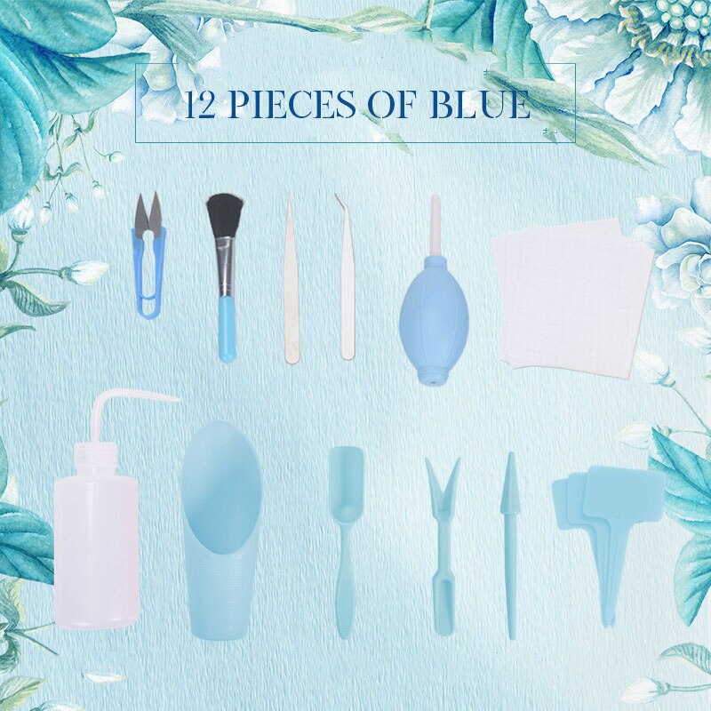 Bonsai Zaad Vetplant Planten Tool Set Bloem Raisin... Grandado