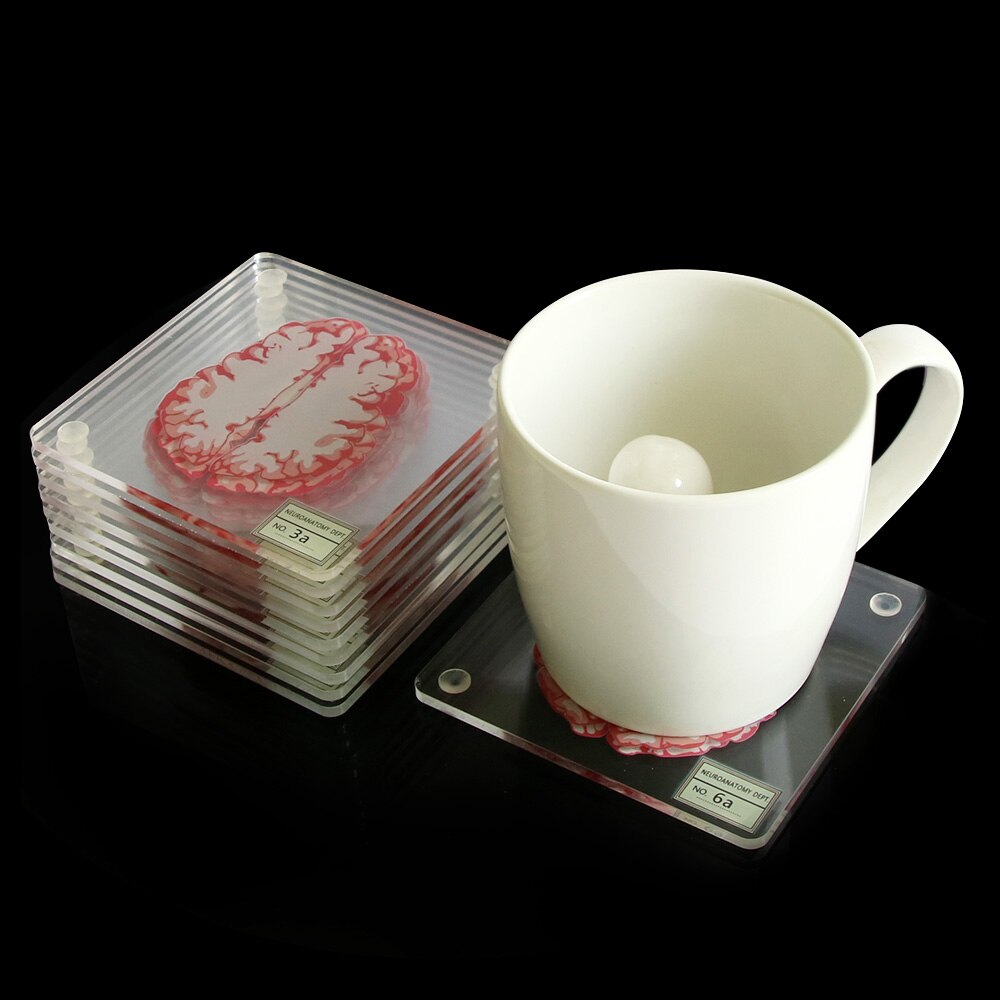 10Pieces/Set 3D Organ Brain Specimen Coasters Set Drinks Table Coaster Brain Slices Square Acrylic Glass Drunk Scientists