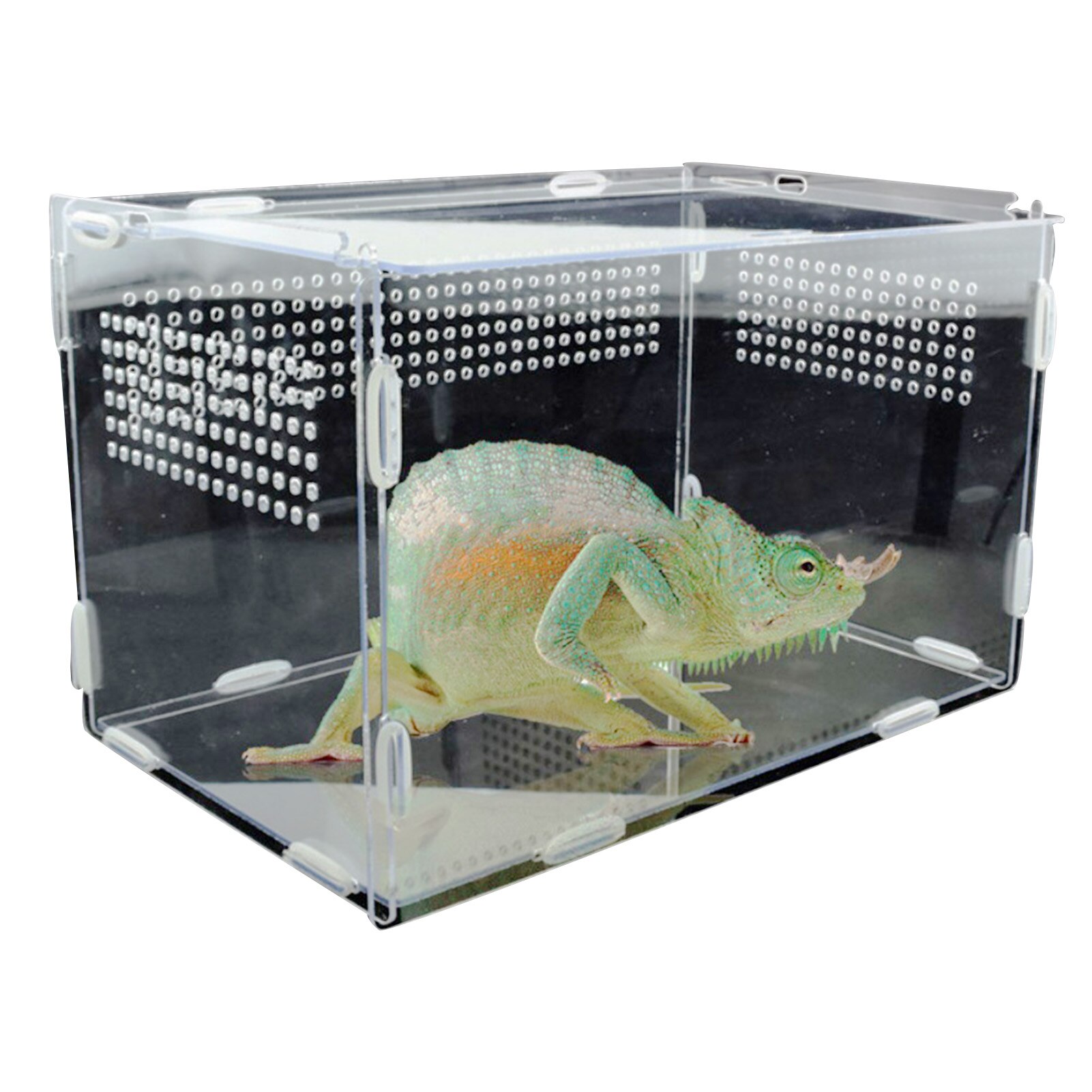 Reptile Breeding Box Breathable Transparent Feeding Box Lizard Frog Cricket Turtle Cage Hatching Container For Spider Acrylic