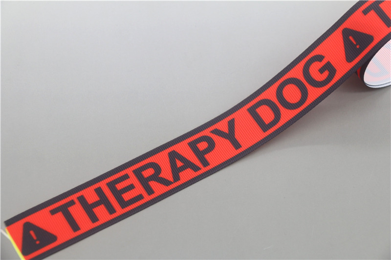 DUWES 50 metri non servizio di terapia per animali domestici canna da lavoro Stampato Nastro in gros-grano Accessorio Decorazione FAI DA TE tutto'ingrosso OEM D1477: Colore di zinco antico / XXXL