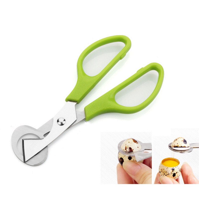 Ciseaux coupe-œufs de caille, ouvreur d'œufs, 10 pièces/lot