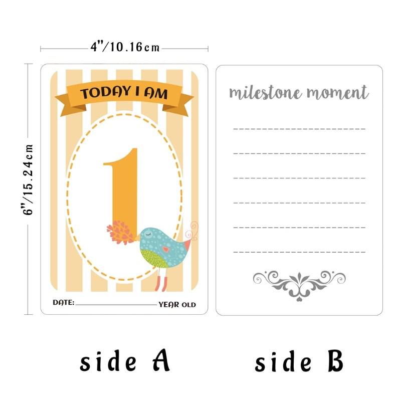 12 hojas de tarjetas de hitos mensuales para bebé, tarjetas de momento de utilería de fotos de nacimiento a 12 meses