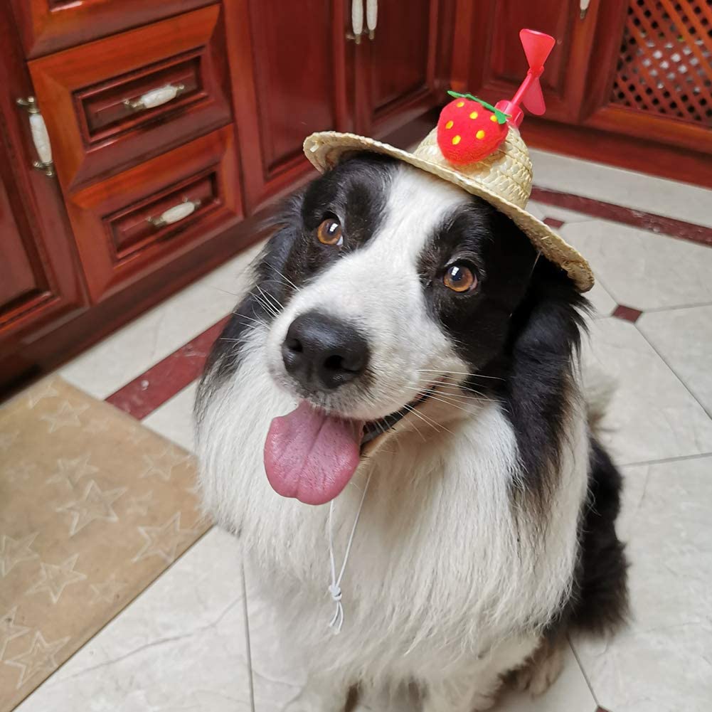 LVTUBANLV Adjustable Cute Mini Pet Sombrero Dog Straw Hat Cat Woven Hat Puppy Sun Bucket Cap for Small Dogs Puppy Cats Supplies