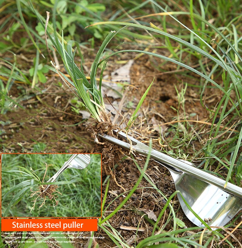 Désherbage domestique pour désherber les légumes sauvages, outils pratiques de jardinage pour le désherbage