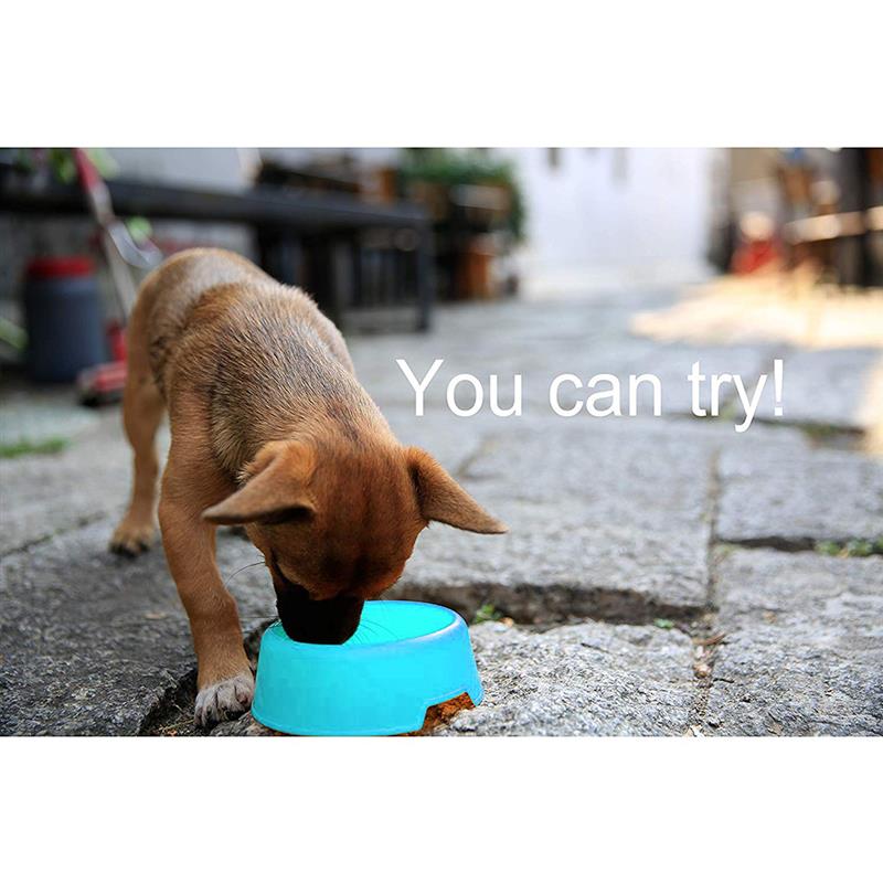Miljøvenlig hvedestrå med kæledyrsskål til hunde og katte slik farve hvalpemad og vandskåle anti-spring kæledyrsforsyning