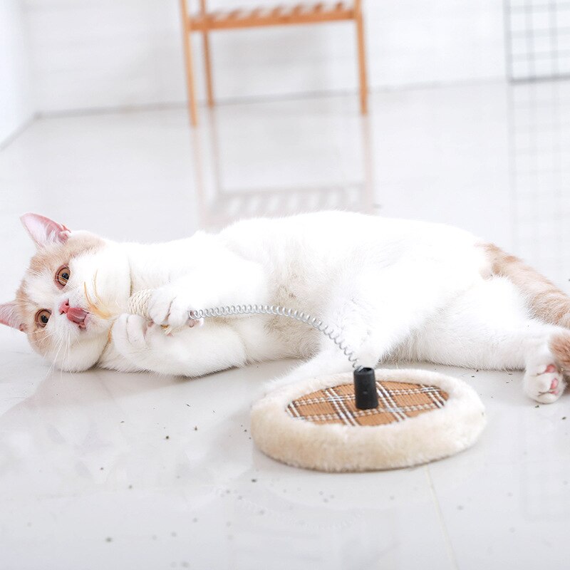 Kjæledyr katt kattunge voksen katt sommer kul liten katt benk katt leke kjæledyr katt enkel skive kul morsom katt benk katter produkter for kjæledyr