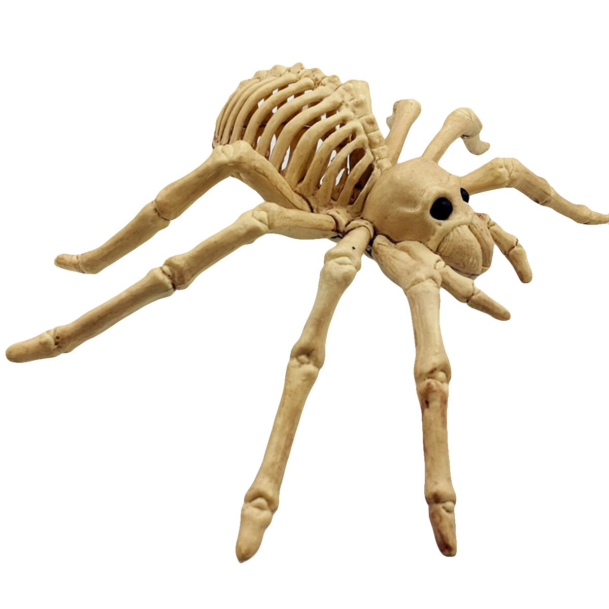 Halloween dekoration skorpion edderkop mus skelet halloween horror dyr dekoration rekvisitter halloween dekoration skelet fest: Edderkop