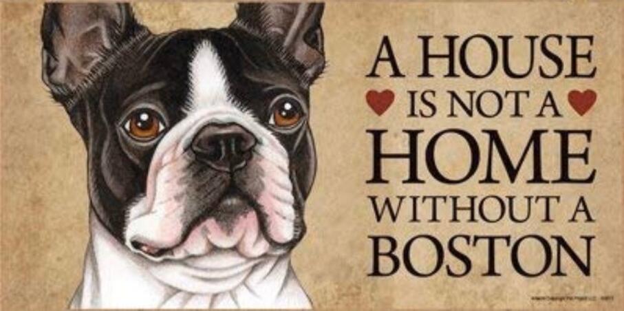 Noir blanc animaux chien métal signe étain affiche une maison Doberman doré Labrador décor à la maison barre mur Art peinture 7.8x11.8 pouces