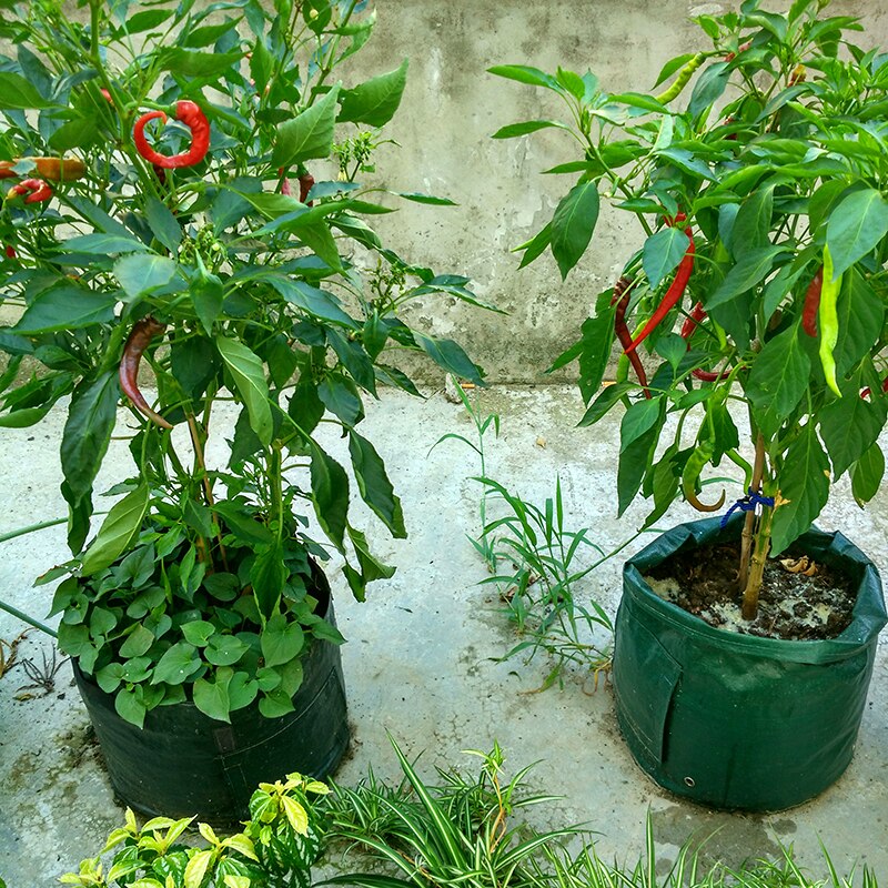 Maceta de gran planta de 7-10 galones, bolsas para el cultivo de semillas, herramientas para el jardín, tela de fresa y patata, macetas para cultivo de semillas