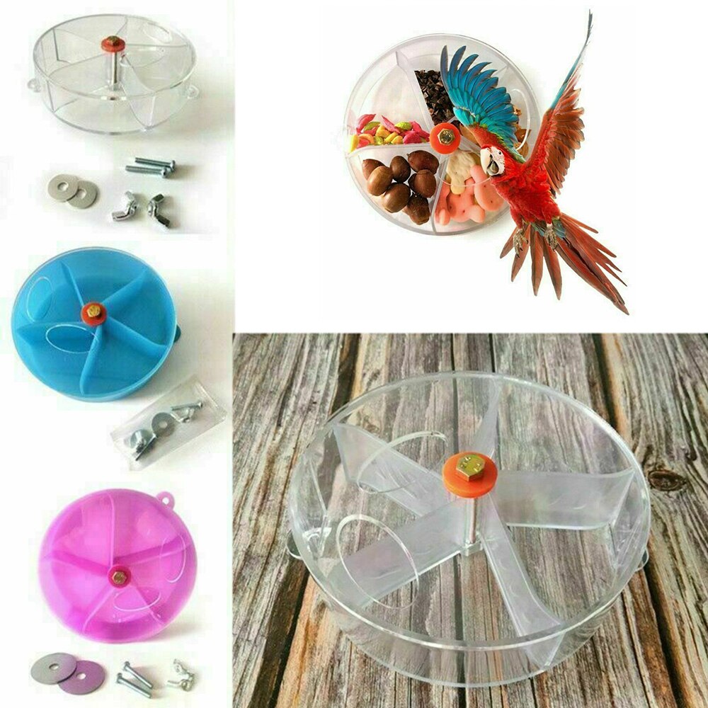 Modèle de gâteau perroquet oiseau, boîte à nourriture, jeu de cerveau, jouet drôle, roue d&#39;alimentation, 1 pièce