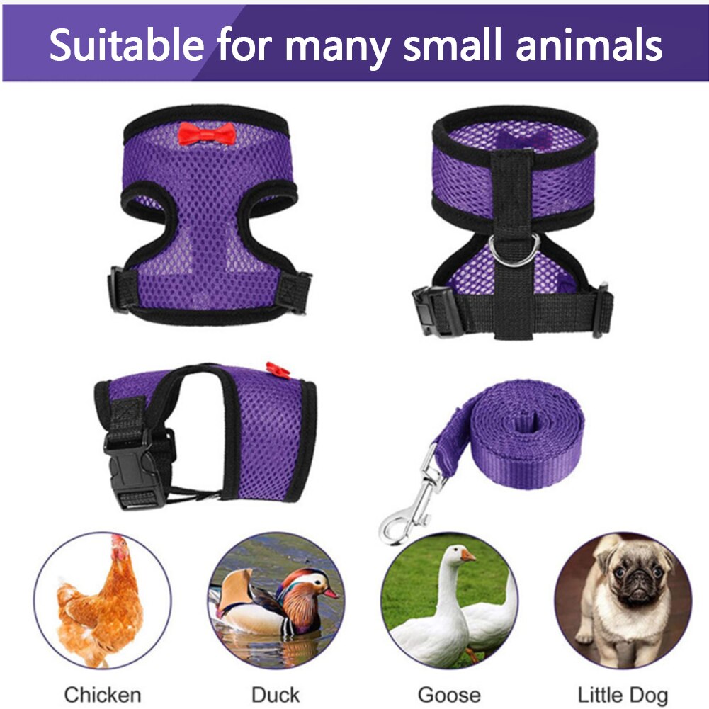 Breathable Mesh Chicken Duck Vest Leashes Poultry Hen Pet Harness With Matching Training for Walking Duck Goose Hen Rooster