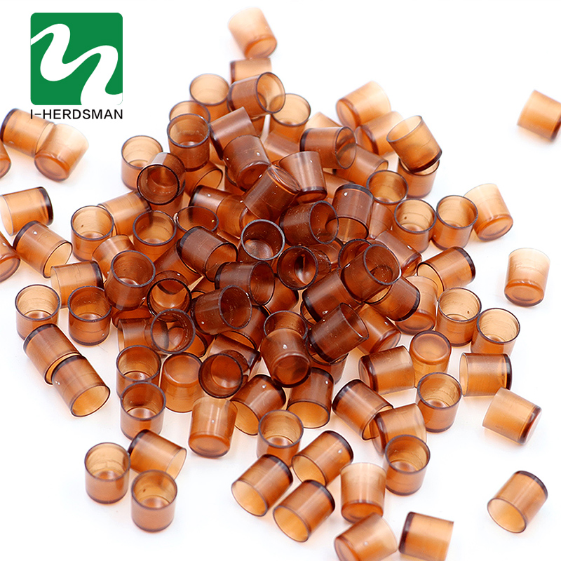 Boîte de levage pour abeilles, 240 pièces, cellules reine brune, gobelet en plastique, outils pour apiculteur