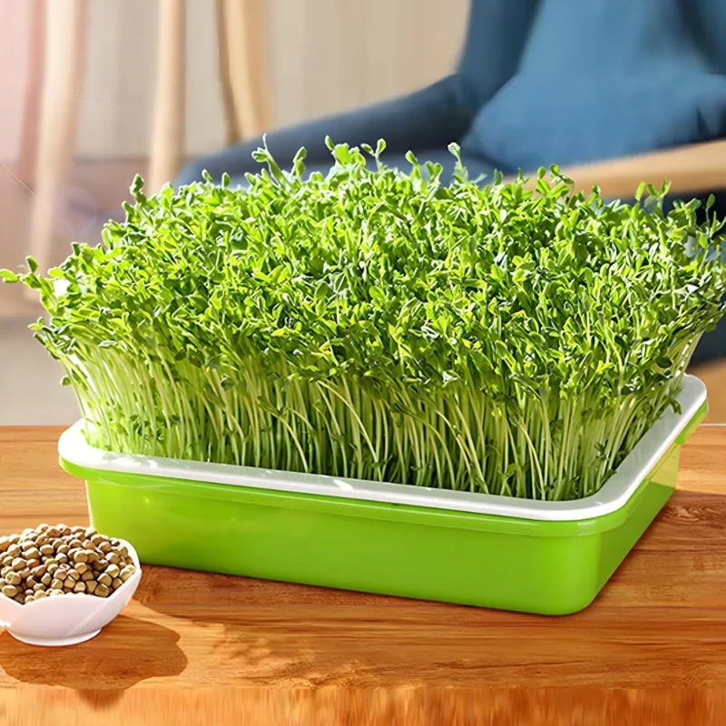 Microgreens Spruitbak Kiembak Hydrocultuurbak Dubbellaags Spruitplaat Kwekerijpotten Grondloze Teelt Planten