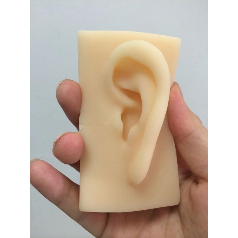 Oor model levensgrote siliconen oor acupunctuur praktijk model simulatie model van de oor rechts en links type