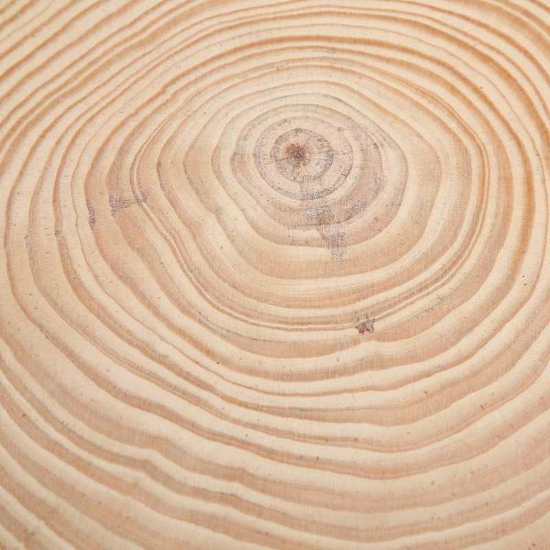 Hout Plakjes Met Schors Natuurlijke Hout Plakjes Unfinished Hout Cirkels Ornamenten Onregelmatige Hout Plakjes Met Schors Hout Cirkels
