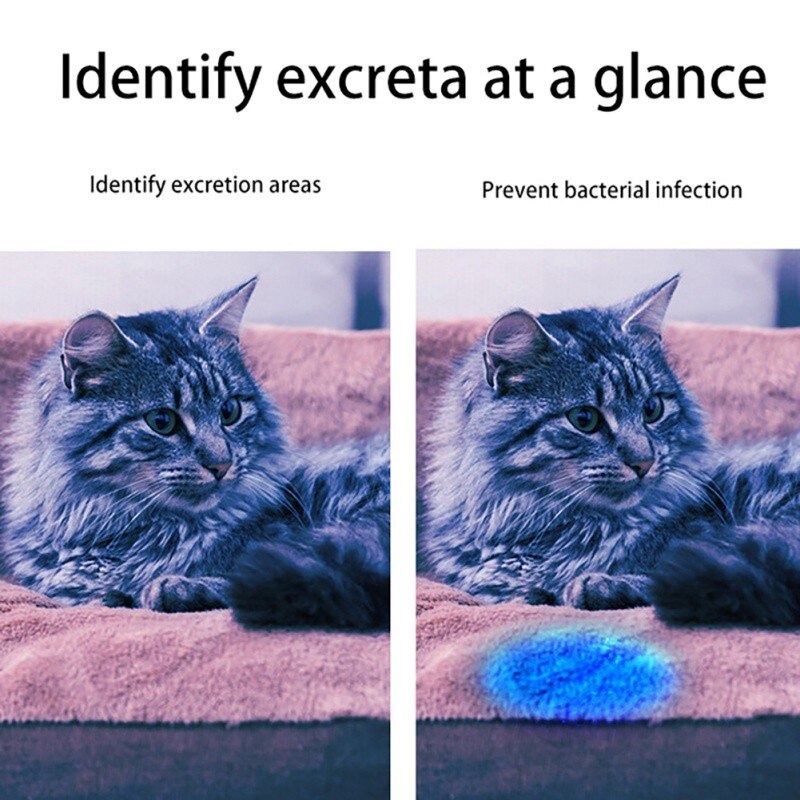 Uv-identificatie zaklamp huisdier kat ringworm katten schimmel led uv testlamp zaklamp ultraviolet fluorescerend middel testlamp