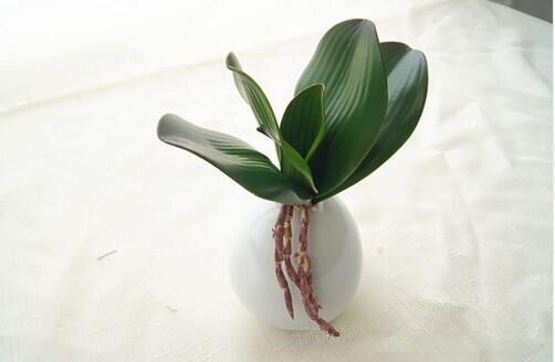 1pcs Real touch phalaenopsis leaf artificial plant leaf decorative flowers auxiliary material flower decoration: M