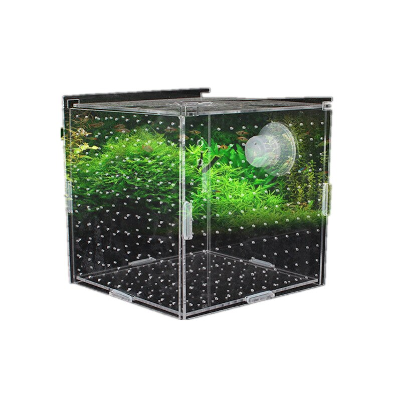 Incubadora de Pez transparente para acuario, caja de cría de peces pequeños, de doble capa, Red de Aislamiento multicapa acrílica