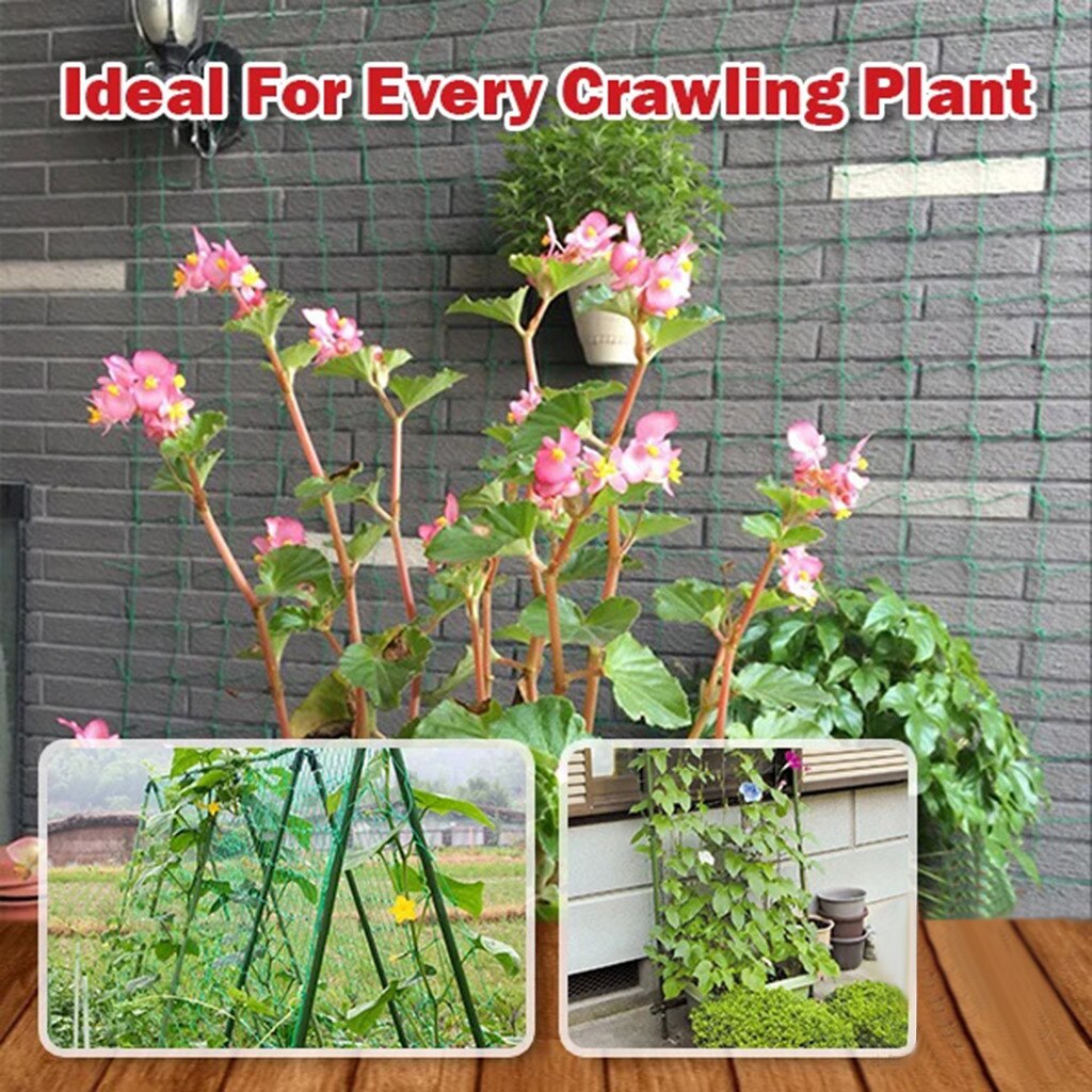 Garden Plants Climbing Net Plastic & Nylon Net Morning Glory Flower Vine Netting Support Net Grow Net Holder Garden Netting #C