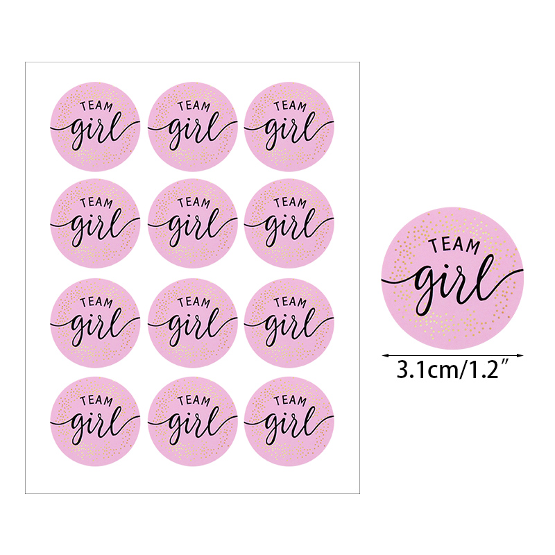 120pcs Team Boy Team Girl Stickers Boy or Girl Vote Sticker for Gender Reveal Party Decoration Baby Shower Packaging Seal Labels: Z05