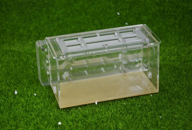 Ant Housing Nest Insect Cage Farms Feed Plastic Acrylic Display Trapezoid Box Ant Villa Nest Building Pet Ant Home Cages