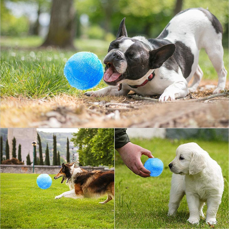 Huisdieren Haar Bal Pluche Huisdier Afstoffen Speelgoed (Kleine Kleur Doos) automatische Stofzuiger Voor Hond Kat Speelgoed Hs Hs