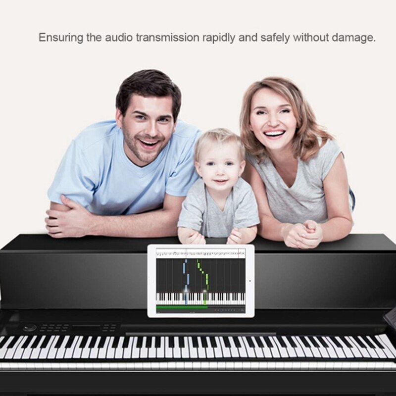 WERSI 5-Pin Midi to USB In-Out Cable Adapter Converter for Windows Mac Ios Laptop to Music Piano Keyboard