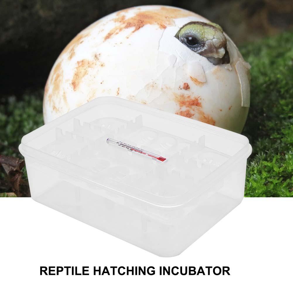 Plástico práctico 16 rejillas Reptiles de plástico bandeja para incubar huevos serpiente, lagarto huevos caja de incubadora herramienta de incubación terrarios