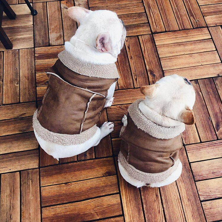 Retro Hond Leren Jas Jas Pet Winter Kleding Mode Koele Jas Kleding Voor Kleine Honden Teddy Franse Bulldog