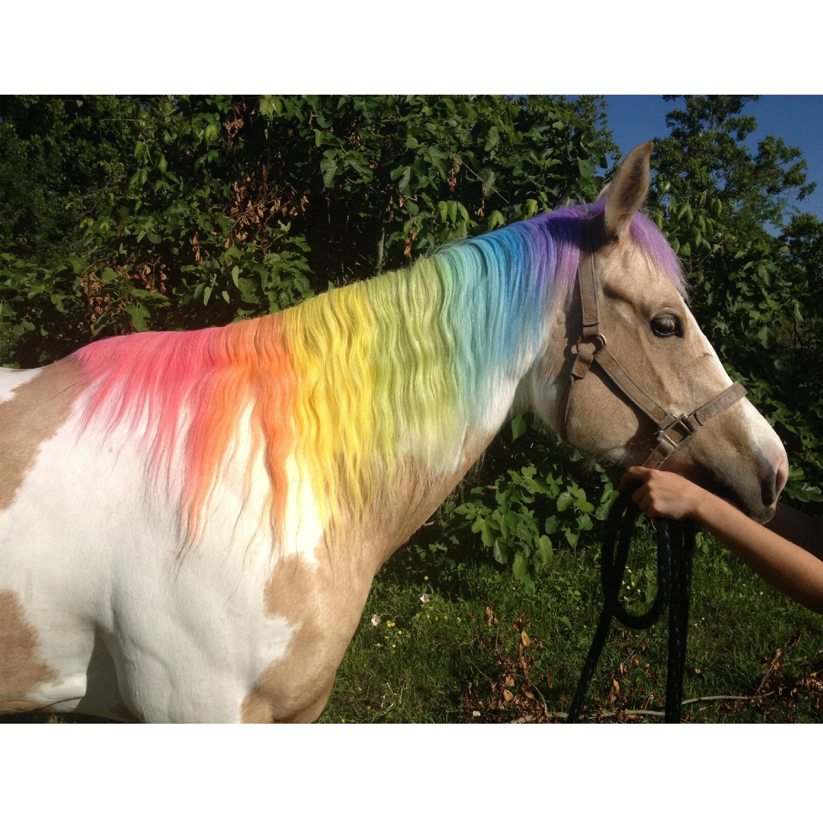 Horse Hair Chalk Temporary Washable Hair Coloring Dyeing Chalk Easy to Color FEA889