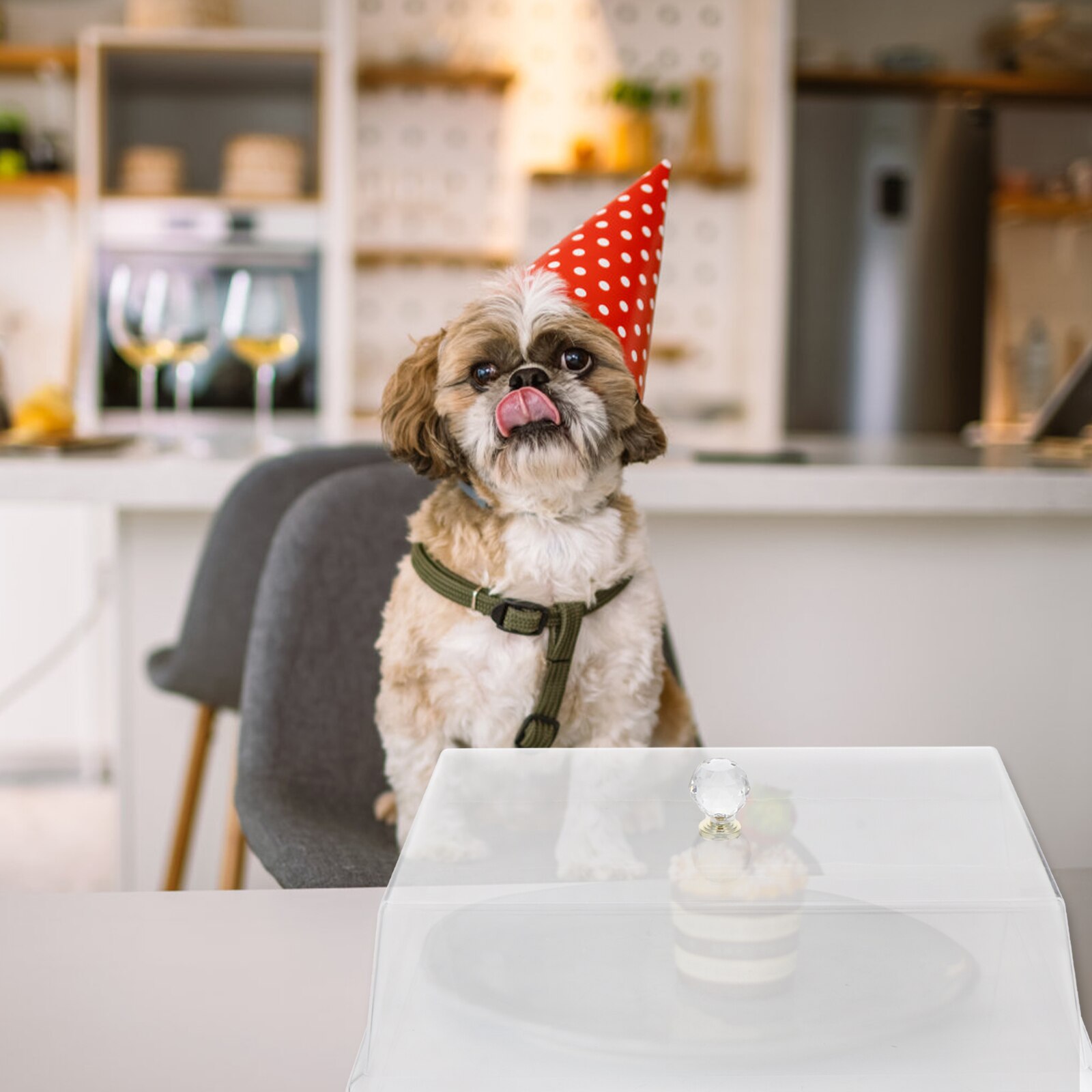 1pc Rectangular Food Cover Kitchen Food Preservation Cover Clear Bowl Dish Cover