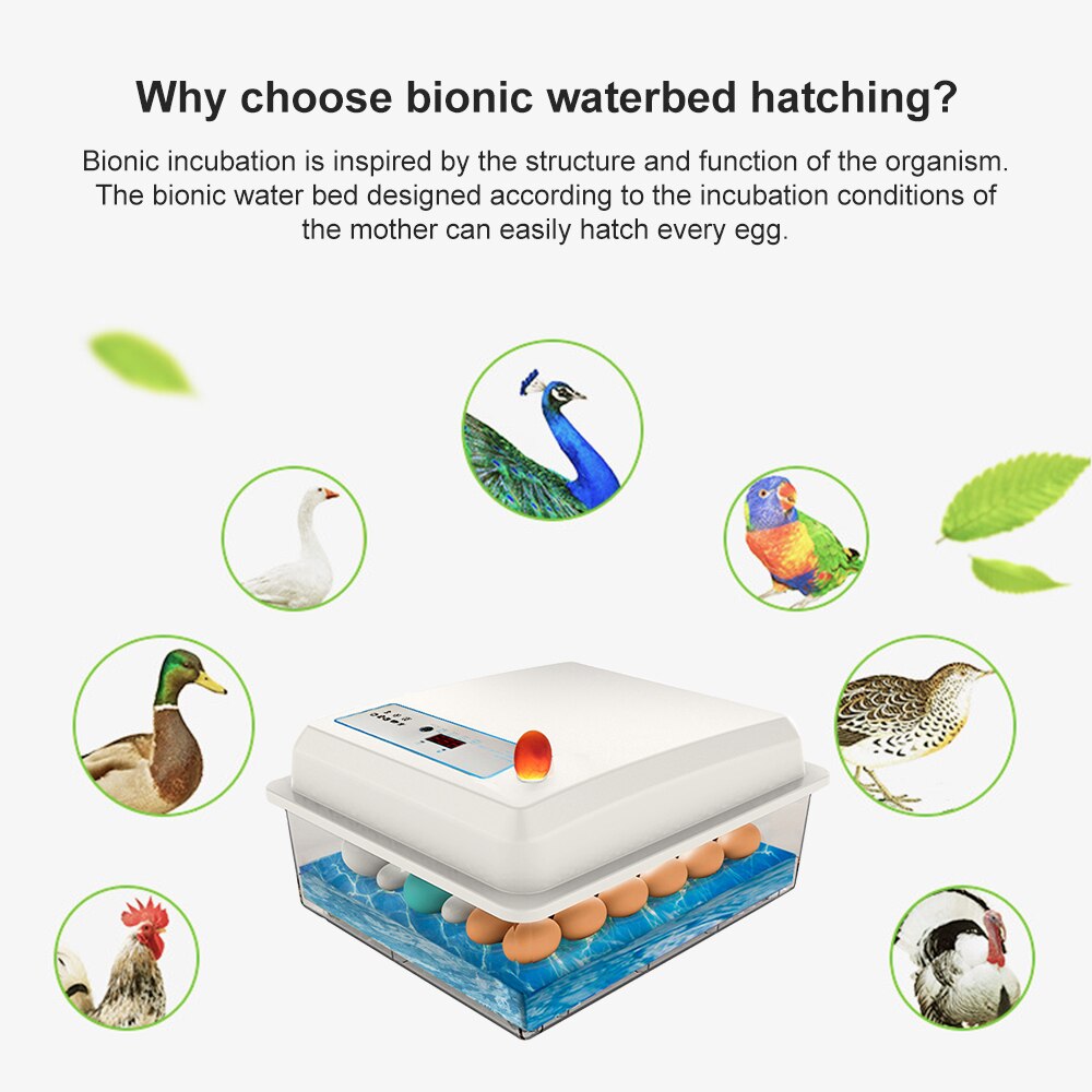 20-50 eggs household incubator small plastic bionic water bed incubator automatic temperature control egg incubator 220V US-plug