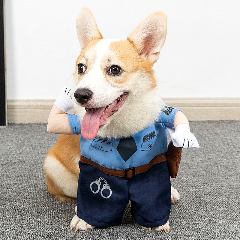 Roupas para cães, fantasia engraçada, halloween, filhote de cachorro, moletom, terno, cosplay, roupas de festa, gato, cachorro, conjuntos, vestido para animais de estimação, roupas para cães
