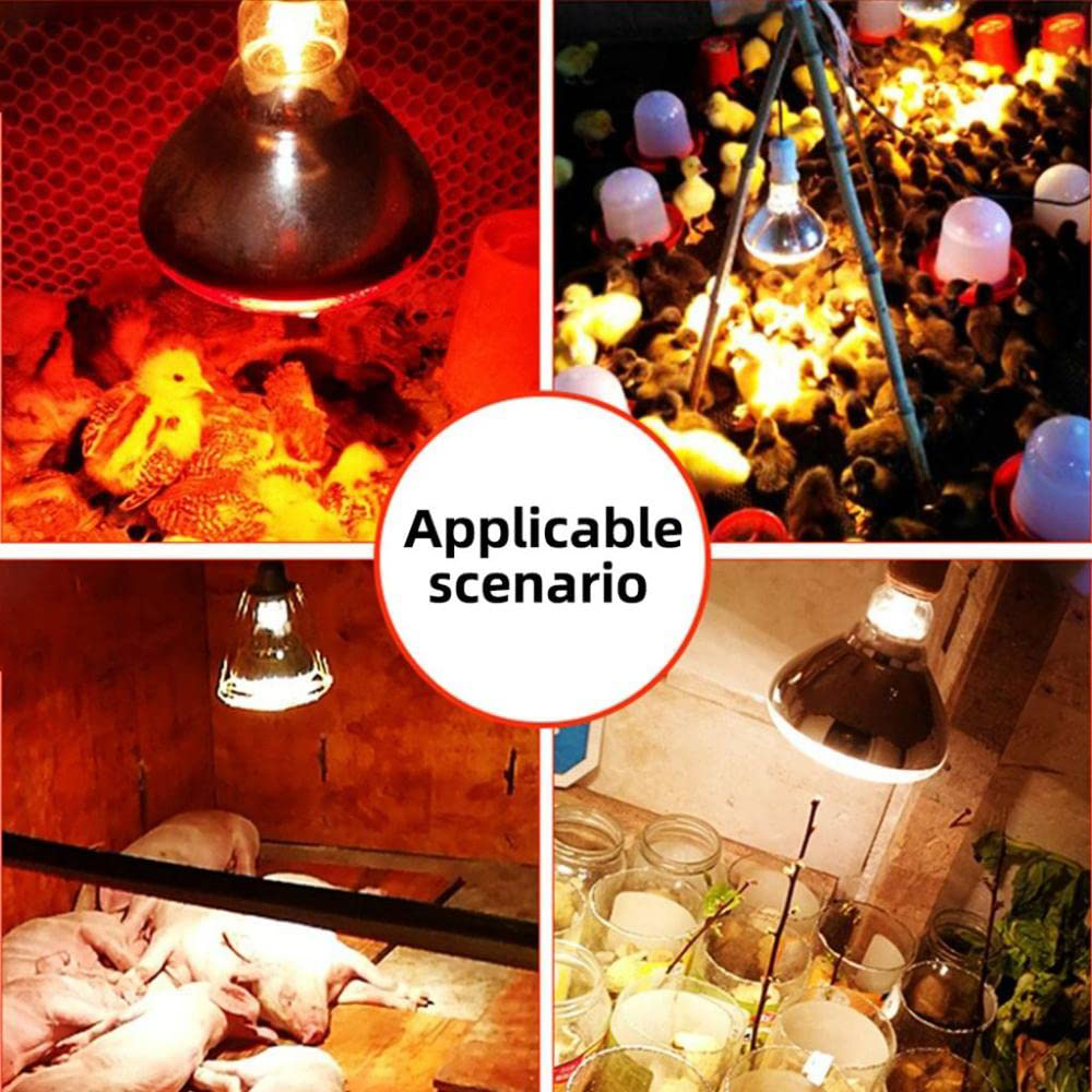 Ampoule chauffante infrarouge 220V, 100/150/200/275W, pour amphibiens, Reptiles, volaille, animaux domestiques, bétail, poulet, canard, fournitures agricoles