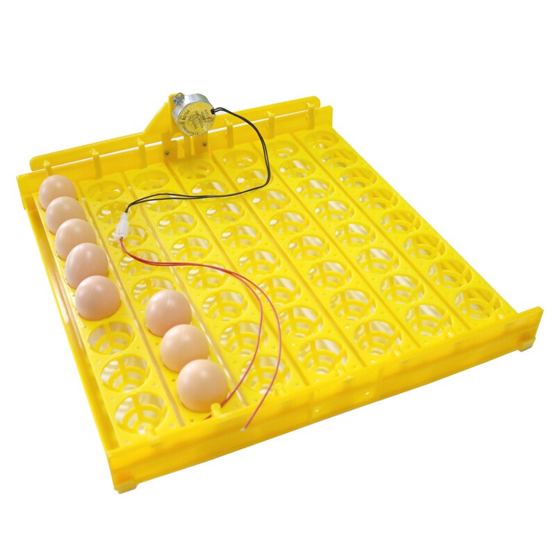 Inkubator 56 æg 110v / 220v automatiske æg inkubator kyllingand fjerkræ inkubationsudstyr