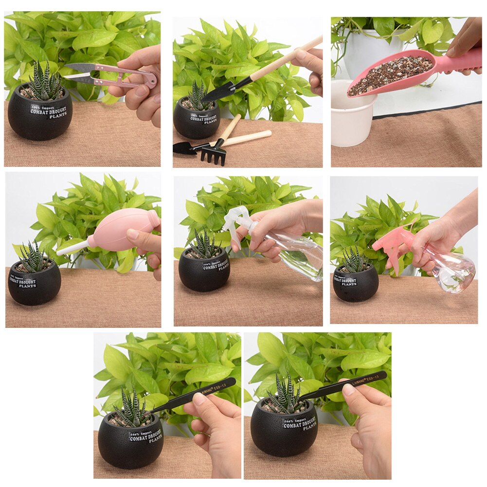 Kit de jardinería para regar y plantar plantas, miniherramienta de bricolaje para el hogar, para suculentas, 12/16 Uds.